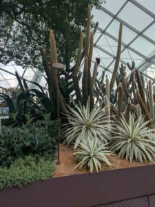 GardensByTheBay2025-34 image from Singapore's Gardens by the Bay - spring 2025