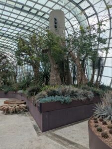 GardensByTheBay2025-37 image from Singapore's Gardens by the Bay - spring 2025