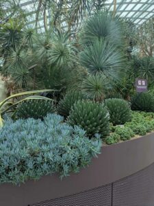 GardensByTheBay2025-38 image from Singapore's Gardens by the Bay - spring 2025