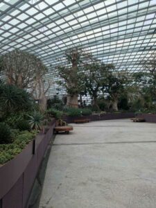 GardensByTheBay2025-40 image from Singapore's Gardens by the Bay - spring 2025