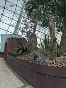 GardensByTheBay2025-41 image from Singapore's Gardens by the Bay - spring 2025