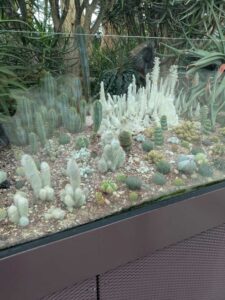 GardensByTheBay2025-42 image from Singapore's Gardens by the Bay - spring 2025