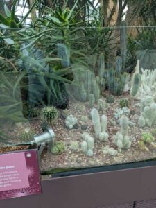 GardensByTheBay2025-44 image from Singapore's Gardens by the Bay - spring 2025