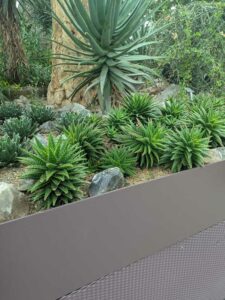 GardensByTheBay2025-45 image from Singapore's Gardens by the Bay - spring 2025