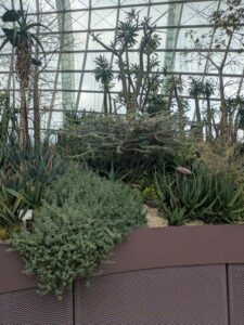 GardensByTheBay2025-48 image from Singapore's Gardens by the Bay - spring 2025