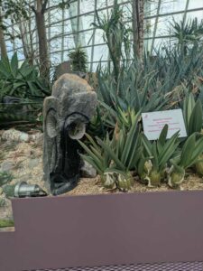 GardensByTheBay2025-49 image from Singapore's Gardens by the Bay - spring 2025