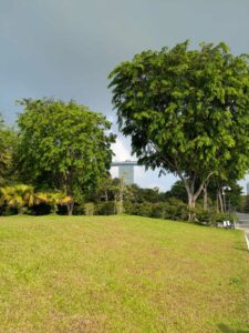 GardensByTheBay2025-5 image from Singapore's Gardens by the Bay - spring 2025