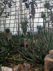 GardensByTheBay2025-50 image from Singapore's Gardens by the Bay - spring 2025