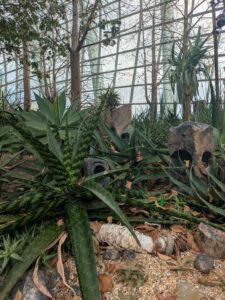 GardensByTheBay2025-51 image from Singapore's Gardens by the Bay - spring 2025