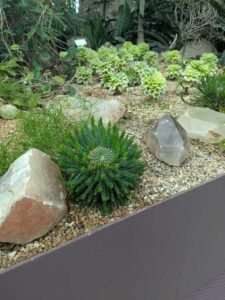 GardensByTheBay2025-55 image from Singapore's Gardens by the Bay - spring 2025