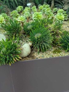 GardensByTheBay2025-56 image from Singapore's Gardens by the Bay - spring 2025