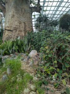 GardensByTheBay2025-58 image from Singapore's Gardens by the Bay - spring 2025