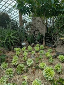 GardensByTheBay2025-59 image from Singapore's Gardens by the Bay - spring 2025