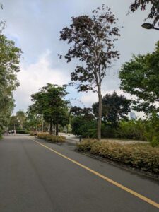 GardensByTheBay2025-6 image from Singapore's Gardens by the Bay - spring 2025