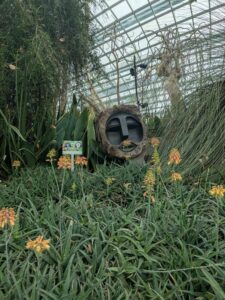 GardensByTheBay2025-61 image from Singapore's Gardens by the Bay - spring 2025