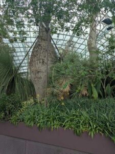 GardensByTheBay2025-64 image from Singapore's Gardens by the Bay - spring 2025