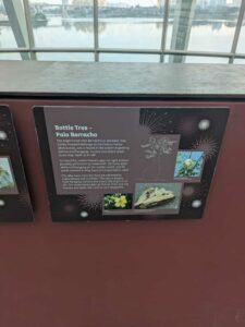 GardensByTheBay2025-73 image from Singapore's Gardens by the Bay - spring 2025