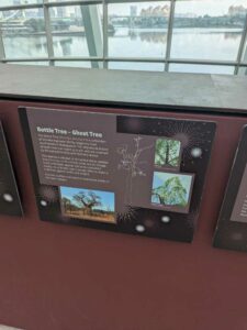 GardensByTheBay2025-74 image from Singapore's Gardens by the Bay - spring 2025