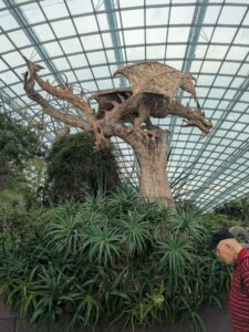 GardensByTheBay2025-75 image from Singapore's Gardens by the Bay - spring 2025