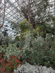 GardensByTheBay2025-79 image from Singapore's Gardens by the Bay - spring 2025