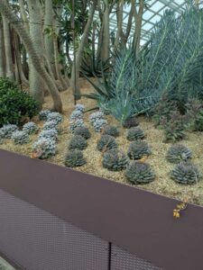 GardensByTheBay2025-81 image from Singapore's Gardens by the Bay - spring 2025