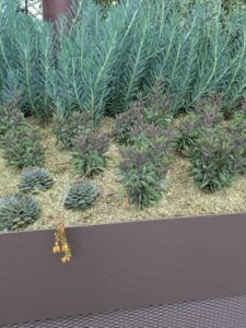 GardensByTheBay2025-82 image from Singapore's Gardens by the Bay - spring 2025