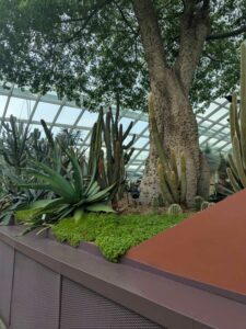 GardensByTheBay2025-85 image from Singapore's Gardens by the Bay - spring 2025