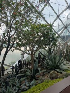 GardensByTheBay2025-89 image from Singapore's Gardens by the Bay - spring 2025