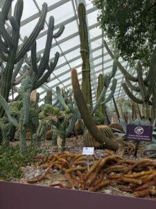 GardensByTheBay2025-91 image from Singapore's Gardens by the Bay - spring 2025