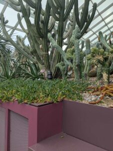 GardensByTheBay2025-92 image from Singapore's Gardens by the Bay - spring 2025