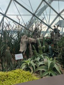 GardensByTheBay2025-93 image from Singapore's Gardens by the Bay - spring 2025