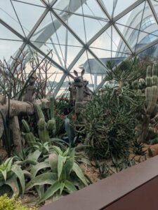 GardensByTheBay2025-94 image from Singapore's Gardens by the Bay - spring 2025