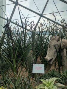 GardensByTheBay2025-95 image from Singapore's Gardens by the Bay - spring 2025