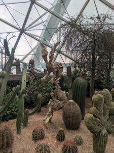 GardensByTheBay2025-96 image from Singapore's Gardens by the Bay - spring 2025