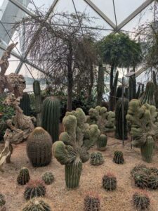 GardensByTheBay2025-97 image from Singapore's Gardens by the Bay - spring 2025