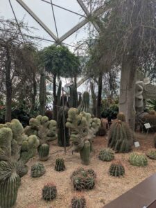 GardensByTheBay2025-98 image from Singapore's Gardens by the Bay - spring 2025