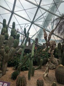 GardensByTheBay2025-99 image from Singapore's Gardens by the Bay - spring 2025