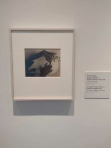 Image from Georgia O'Keefe Museum in Santa Fe