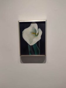 Image from Georgia O'Keefe Museum in Santa Fe