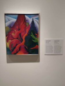 Image from Georgia O'Keefe Museum in Santa Fe