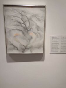 Image from Georgia O'Keefe Museum in Santa Fe