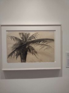 Image from Georgia O'Keefe Museum in Santa Fe