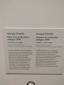 Image from Georgia O'Keefe Museum in Santa Fe