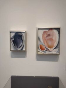 Image from Georgia O'Keefe Museum in Santa Fe