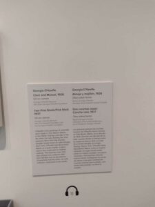 Image from Georgia O'Keefe Museum in Santa Fe