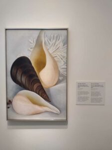 Image from Georgia O'Keefe Museum in Santa Fe