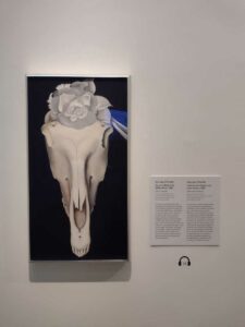 Image from Georgia O'Keefe Museum in Santa Fe