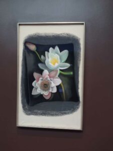 Image from Georgia O'Keefe Museum in Santa Fe