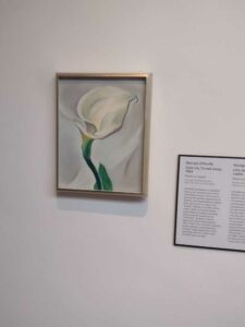 Image from Georgia O'Keefe Museum in Santa Fe