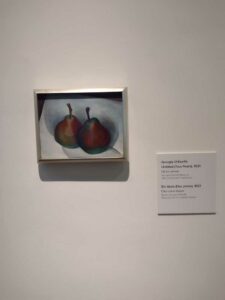 Image from Georgia O'Keefe Museum in Santa Fe